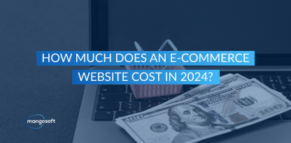 How Much Does an E-commerce Website Cost in 2024?